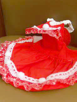 フェレット服・クリスマス