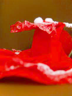 フェレット服・クリスマス