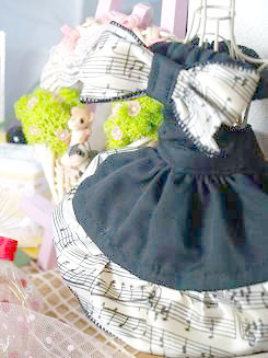 フェレット洋服・メロディ３