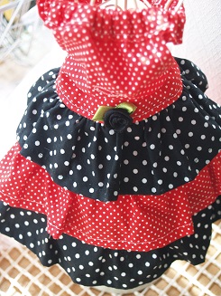 フェレットの洋服・服・お姫様・黒バラのふりふり