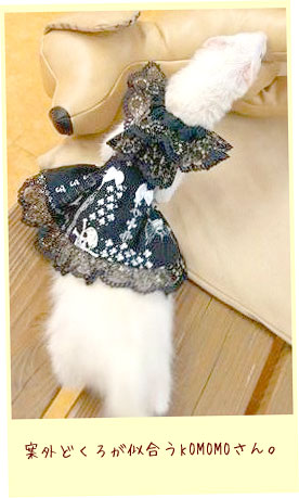 フェレットの服・ドクロドレス・白・フェレット１