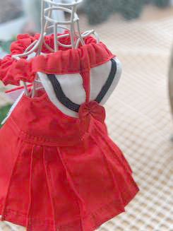 フェレットの洋服・秋冬セーラー・赤２