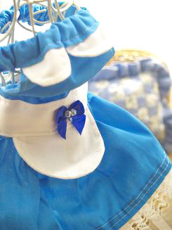 フェレットの洋服・ウェイトレス・水色２