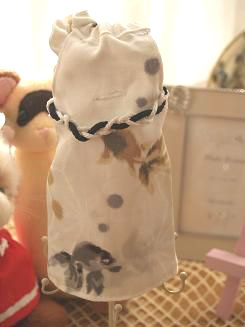 フェレット着物・墨絵の金魚１