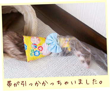 フェレット浴衣・黄色いあじさい＋緑水玉の帯・フェレット４