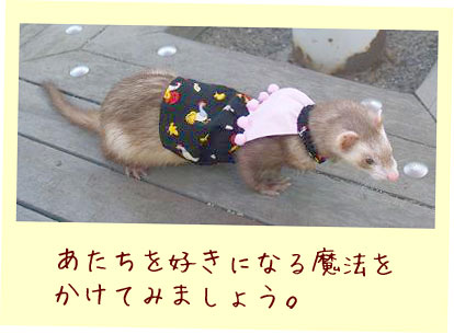 フェレットの服・ハロウィーンドレス・フェレット１