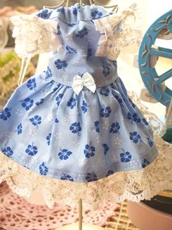 フェレットの洋服・ハワイアンブルー