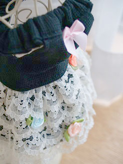 フェレットの洋服・黒に段々の生成りレース１